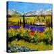 Provence 885120-Pol Ledent-Stretched Canvas