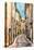 Provence Alley-Colby Chester-Premier Image Canvas