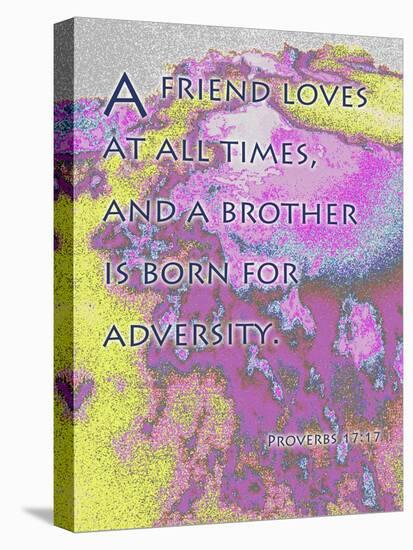 Proverbs 17:9-Cathy Cute-Premier Image Canvas