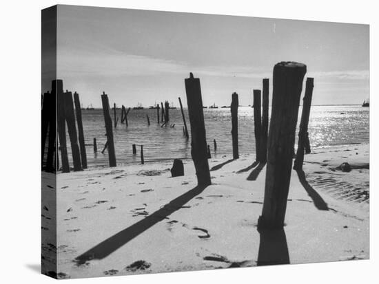 Provincetown Fishing Fleet in Cape Cod Bay-Eliot Elisofon-Premier Image Canvas