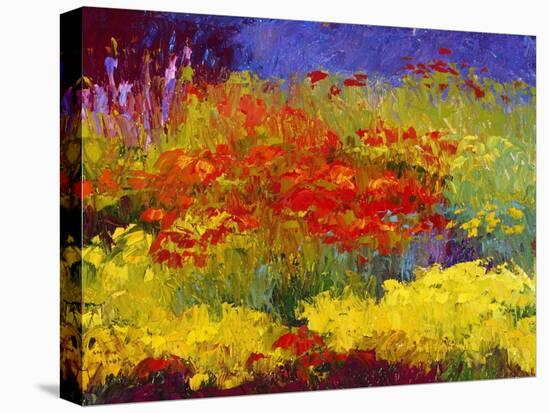 Provincetown Poppies-Gail Wells-Stretched Canvas