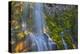 Proxy Falls in the Three Sisters Wilderness, Oregon, Usa-Chuck Haney-Premier Image Canvas