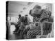 Psychiatric Patients in a Hospital Ward-Carl Mydans-Premier Image Canvas