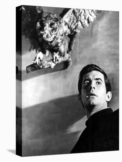 Psycho, Anthony Perkins, 1960-null-Stretched Canvas