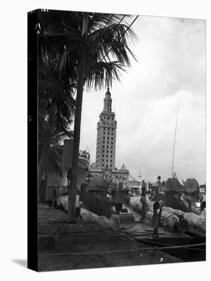 Pt Boats Docked at the Port of Miami-null-Premier Image Canvas