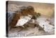 Ptarmigan in the Snow-Archibald Thorburn-Premier Image Canvas