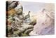 Ptarmigan on the High Tops-Carl Donner-Premier Image Canvas