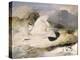 Ptarmigan-Edwin Henry Landseer-Premier Image Canvas