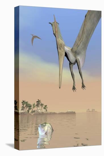 Pteranodon Fishing for Food-null-Stretched Canvas