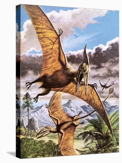 Pteranodon-Payne-Premier Image Canvas