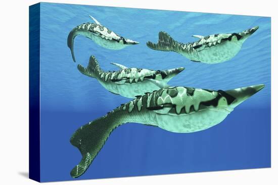 Pteraspis Is an Extinct Genus of Jawless Ocean Fish That Lived in the Devonian Period-null-Stretched Canvas