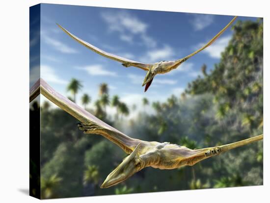 Pterosaurs Flying, Computer Artwork-Roger Harris-Premier Image Canvas