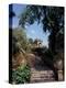 Public Garden of Taormina, Sicily, Italy-Connie Ricca-Premier Image Canvas