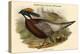 Pucrasia Castanea - Kafiristan Pucras Pheasant-John Gould-Stretched Canvas