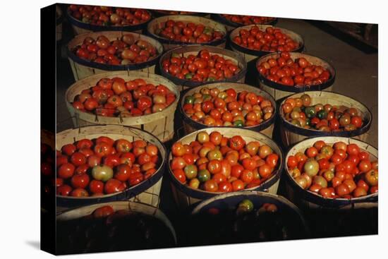 Puerto Rico: Tomatoes-Jack Delano-Premier Image Canvas