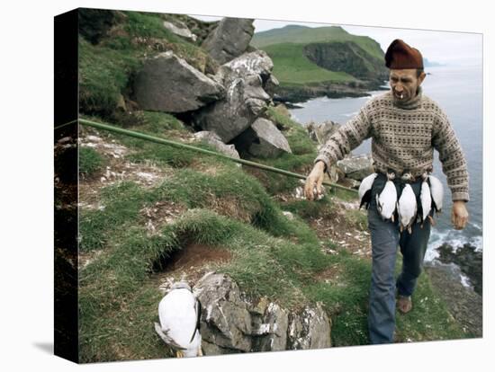 Puffin Catcher, Faroe Islands (Faeroes), Denmark, North Atlantic-Adam Woolfitt-Premier Image Canvas