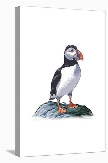 Puffin - Icon-Lantern Press-Stretched Canvas