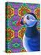 Puffin-Jane Tattersfield-Premier Image Canvas