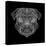 Pug Head Black Mesh-Lisa Kroll-Stretched Canvas