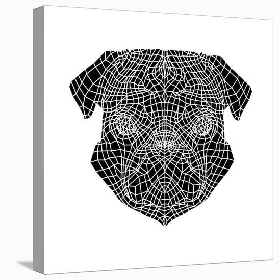 Pug Head Mesh-Lisa Kroll-Stretched Canvas