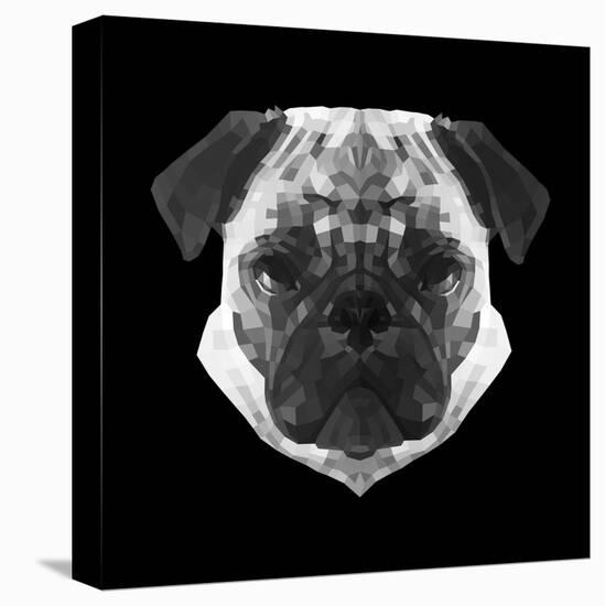 Pug Head-Lisa Kroll-Stretched Canvas