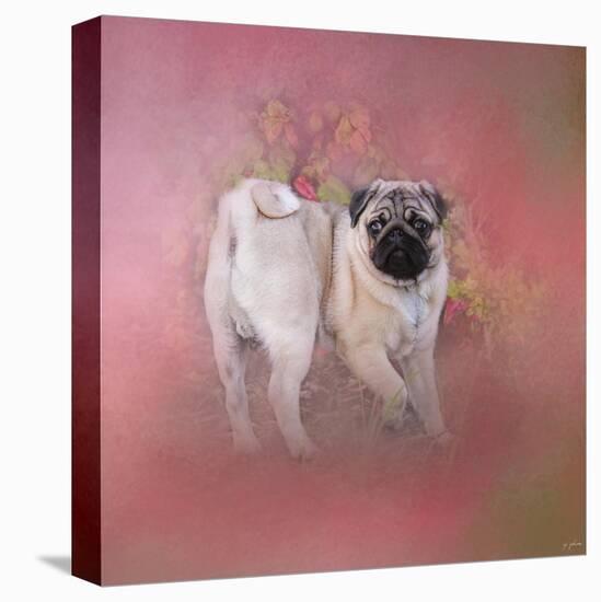 Pug in the Garden-Jai Johnson-Premier Image Canvas