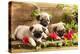 Pug Puppies And Flowers In Retro Backgraun-Lilun-Premier Image Canvas