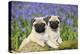 Pug Puppies Standing Together in Bluebells-null-Premier Image Canvas