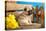 Pug Puppy And Spring Flowers-Lilun-Premier Image Canvas