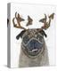 Pug With a Big Rack-Melissa Symons-Stretched Canvas