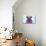 PUG XXXIV-Fernando Palma-Premier Image Canvas displayed on a wall