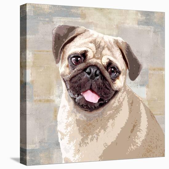 Pug-Keri Rodgers-Stretched Canvas