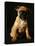 Puggle Dog a Crossbreed Between a Beagle and a Pug-null-Premier Image Canvas