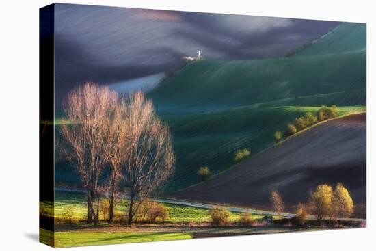 Pulpit on Carpet-Marcin Sobas-Premier Image Canvas