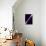 Pulsar, Artwork-null-Premier Image Canvas displayed on a wall