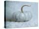 Pumpkin II-Wellington Studio-Stretched Canvas