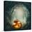 Pumpkin In Dark Forest-egal-Stretched Canvas