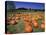 Pumpkin Patch, CA-Mitch Diamond-Premier Image Canvas
