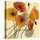 Pumpkin Poppies II-Shirley Novak-Stretched Canvas