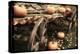 Pumpkin Wagon-Mindy Sommers-Premier Image Canvas