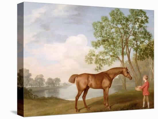 Pumpkin with a Stable-Lad, 1774 (Oil on Panel)-George Stubbs-Premier Image Canvas