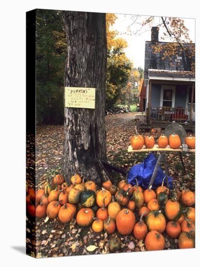 Pumpkins For Sale in New England-Bill Bachmann-Premier Image Canvas
