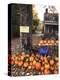 Pumpkins For Sale in New England-Bill Bachmann-Premier Image Canvas