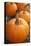 Pumpkins I-Karyn Millet-Premier Image Canvas