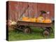 Pumpkins in Old Wagon-Chuck Haney-Premier Image Canvas