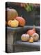 Pumpkins on Stairs-Alena Hrbkova-Premier Image Canvas