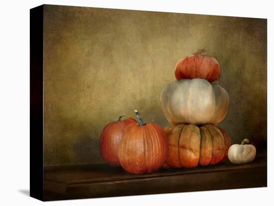 Pumpkins Still Life-Jai Johnson-Premier Image Canvas