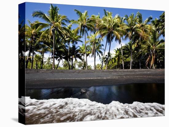 Punalu'U, Hawaii: the Punalu'U Black Sand Beach-Ian Shive-Premier Image Canvas