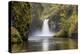 Punch Bowl Falls, Columbia River Gorge, Oregon, USA-Jamie & Judy Wild-Premier Image Canvas