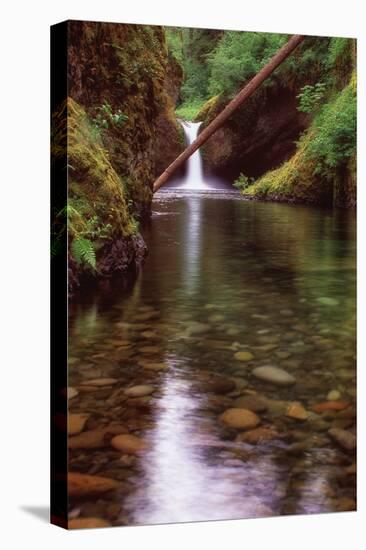 Punch Bowl Falls-Ike Leahy-Premier Image Canvas